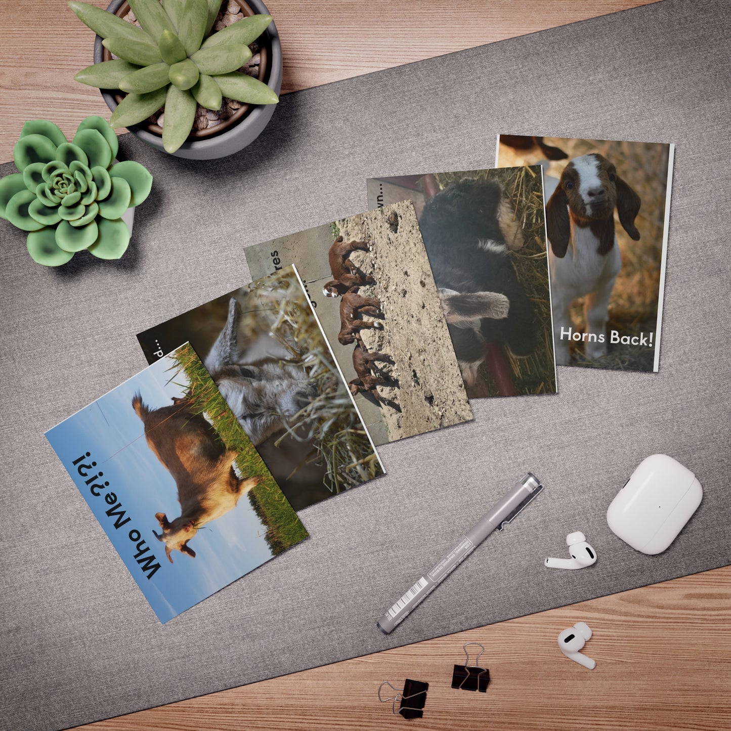 Goat Humor Greeting Cards (5-Pack) — Funny Goat Photo Cards with Messages: "Who Me?!!", "Chin up, Horns Back!", Encouragement & Adventure