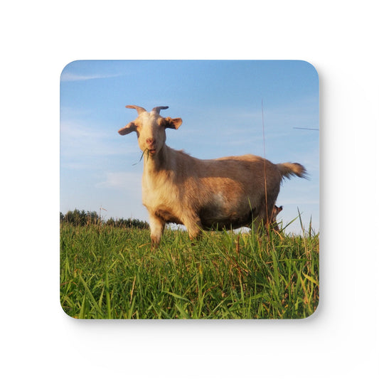 Goat Photo Cork Coaster Set – Humorous Farmhouse Drink Coasters (Square)