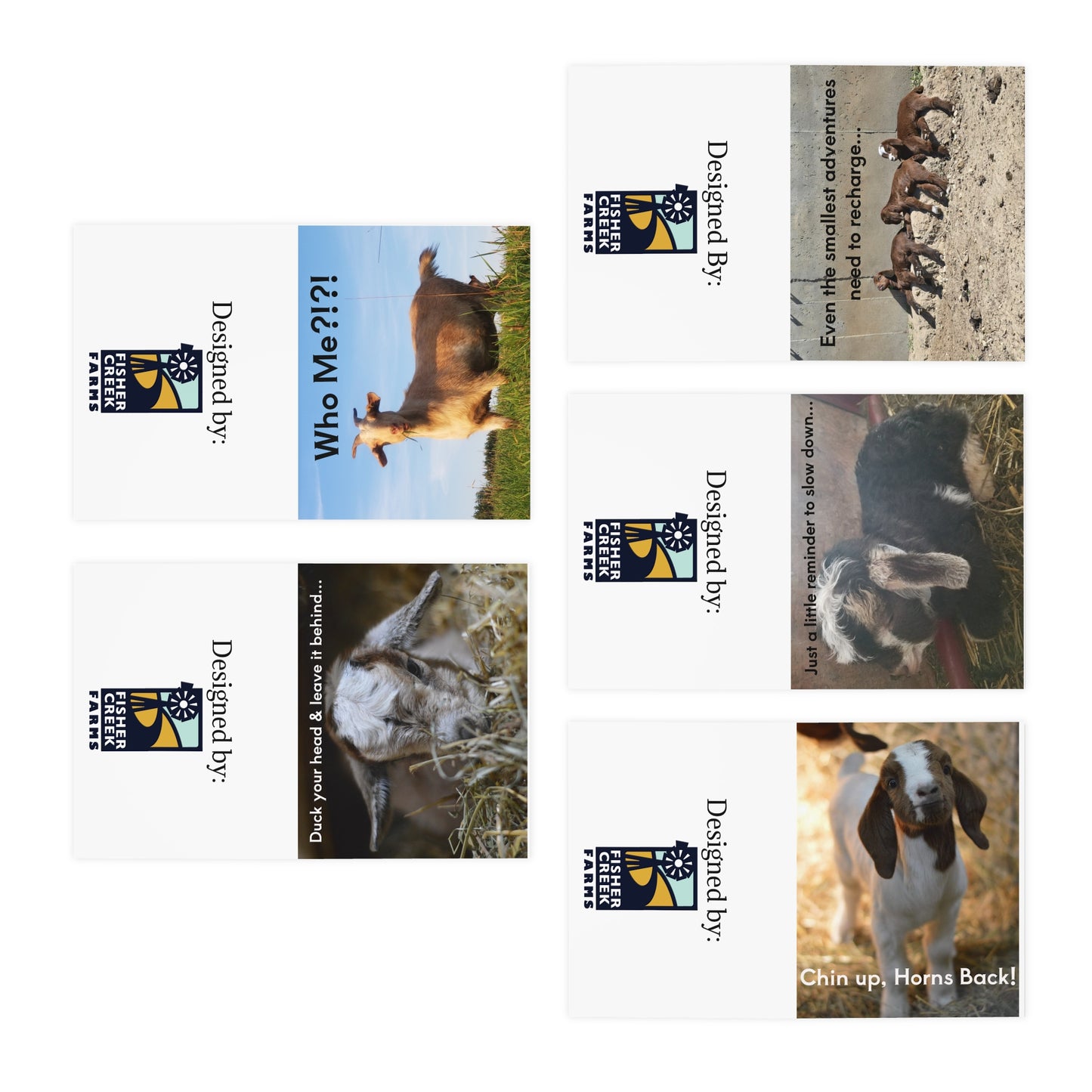Goat Humor Greeting Cards (5-Pack) — Funny Goat Photo Cards with Messages: "Who Me?!!", "Chin up, Horns Back!", Encouragement & Adventure