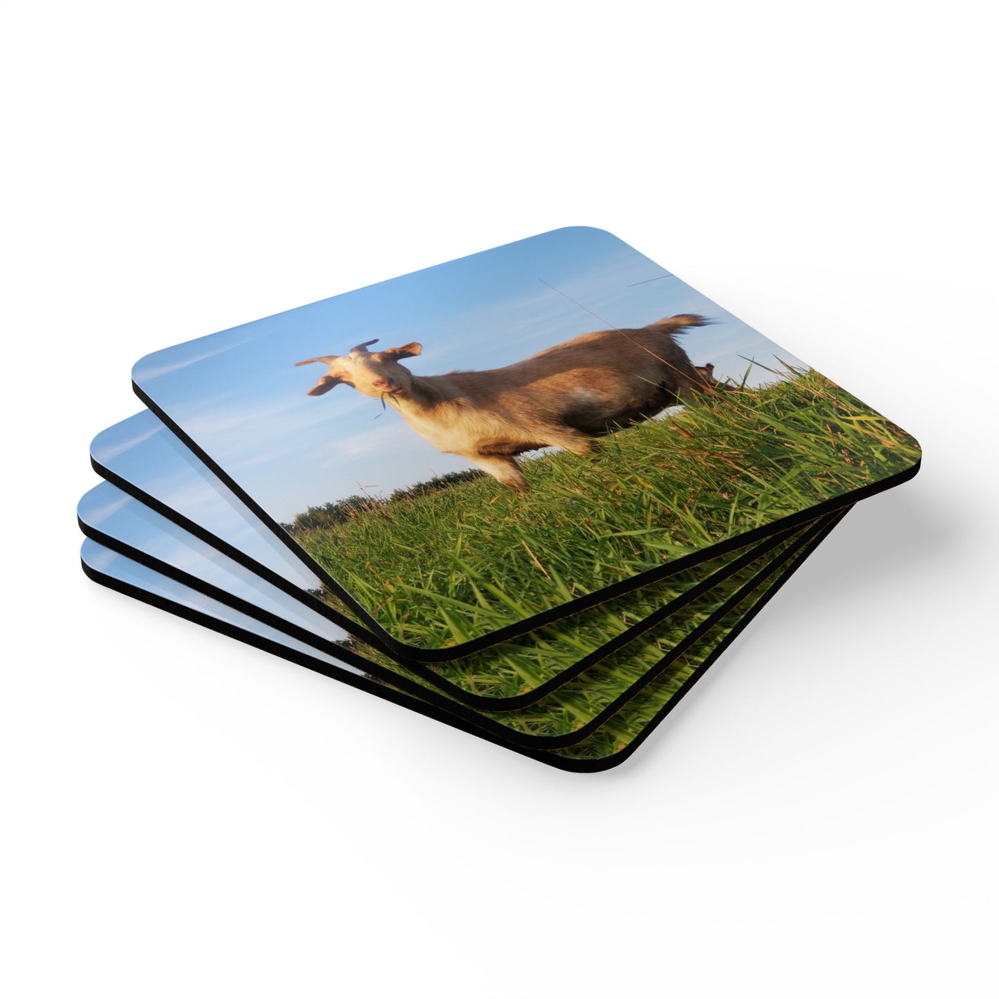 Goat Photo Cork Coaster Set – Humorous Farmhouse Drink Coasters (Square)